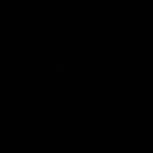 Meet your Posher, Filmon